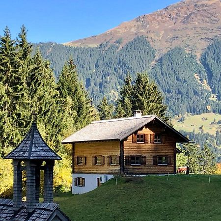 Vila Alpenapart Montafon - Bitschweil Huesle Schruns Exteriér fotografie